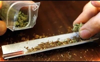 ما هو مخدر الفودو وأضراره .. اخطر انواع المخدرات