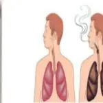 The-dangers-of-smoking-on-your-body
