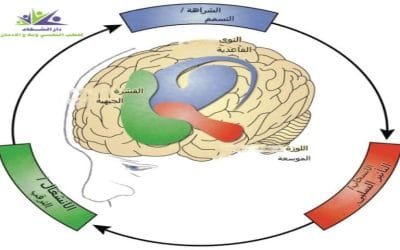 مراحل الإدمان الثلاثة وما هي أخطرهم؟