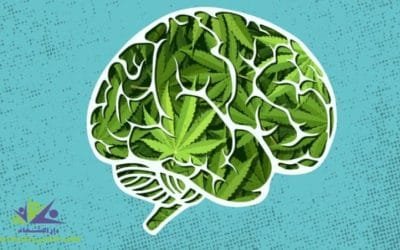 ما هو تأثير الحشيش على الدماغ والذاكرة؟ وهل يسبب الفصام؟
