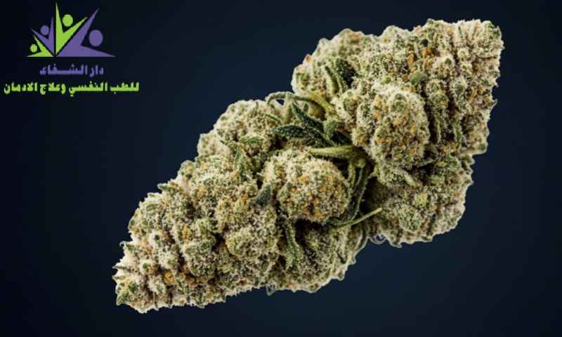 كم تبقى مادة الزطلة في الجسم والبول والدم؟ وكيف تتخلص منها بأمان